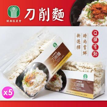 買一送一-關廟農會  台南嚴選刀削麵 共10包|關廟麵/刀削麵