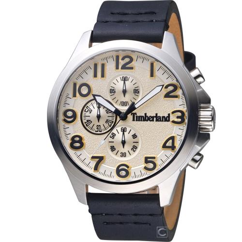 Timberland 極地探險 時尚腕錶(TBL.15026JS/07)46mm