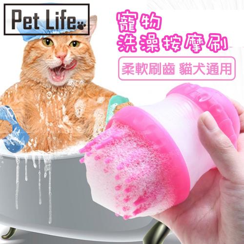 Pet Life 可儲存沐浴乳寵物洗澡按摩刷/清潔美容 顏色隨機