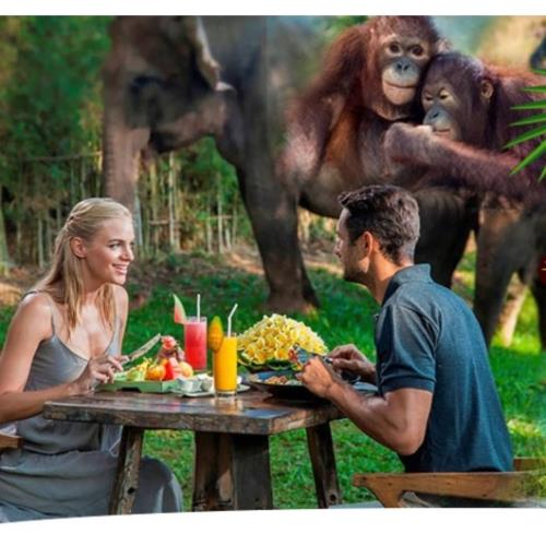 巴里島奇幻動物園與獅共午餐.主題獨棟VILLA5日(4人成行)旅遊