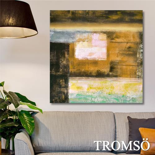 TROMSO-百勝藝術立體抽象油畫_60×60cm  W419
