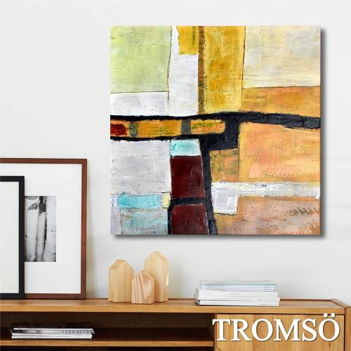 TROMSO-百勝藝術立體抽象油畫_60×60cm  W407