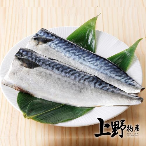 【上野物產】巨無霸挪威薄鹽鯖魚片（220g±10%/片）x1片