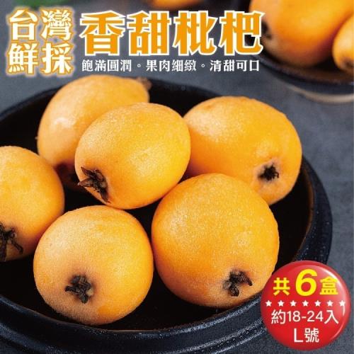 果物樂園-台灣嚴選枇杷L號6盒(18-24入_約500g/盒)