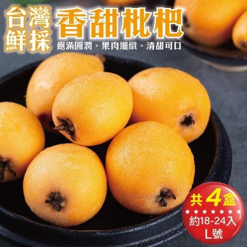 果物樂園-台灣嚴選枇杷L號4盒(18-24入_約500g/盒)