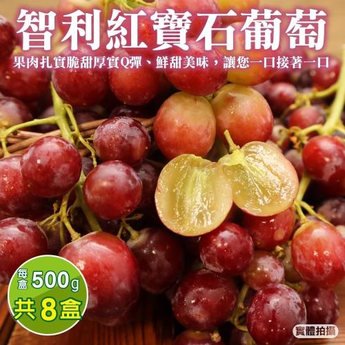 果物樂園-智利紅寶石葡萄8盒(約500g/盒)