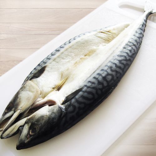 【巧益市】人氣挪威鹽漬鯖魚10尾(260g/尾)