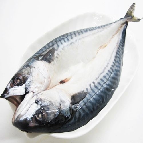 【華得水產】挪威特大鯖魚8尾(480g/包/整尾)