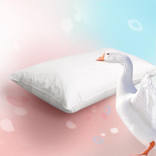 《英柏絲Embrace》五星級飯店指定御用 水鳥羽絨枕 100%純棉表布防絨加工(一入)