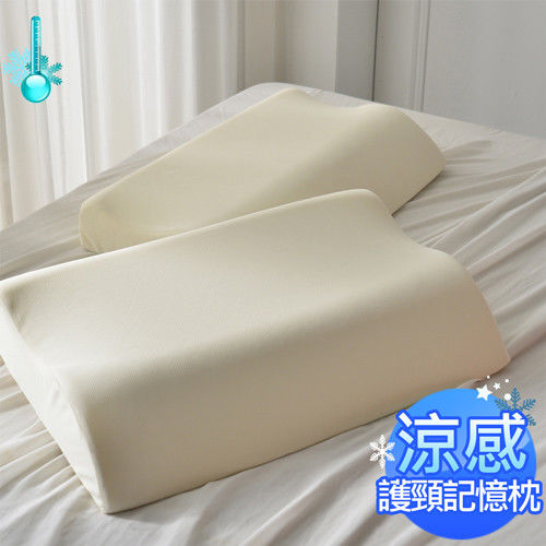AmoreCasa 台灣製造 涼感護頸記憶枕2入