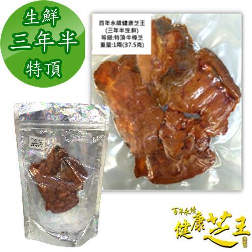 【百年永續健康芝王】牛樟芝/菇(三年半特頂) 生鮮品 (37.5g /1兩) 