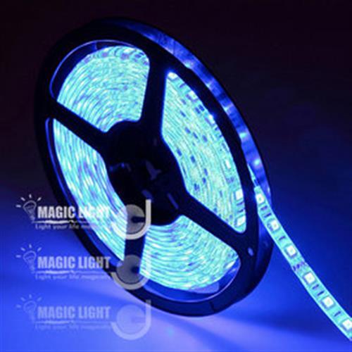 【光的魔法師 Magic Light】LED 5050軟燈帶 60燈 DC12V / 5米入 藍光