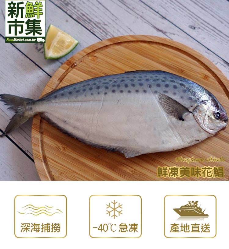 【新鮮市集】鮮凍美味花鯧5尾(200-300g/尾)