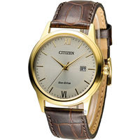 星辰 CITIZEN 光動能復古休閒經典腕錶 AW1232-12A 咖啡