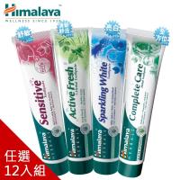 Himalaya喜馬拉雅 天然草本牙膏100g四款任選(12入組)