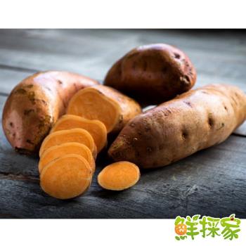 鮮採家 台灣香甜綿密地瓜番薯10台斤1箱