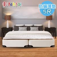 德泰 索歐系列 5cm 防蹣薄墊-雙人5尺