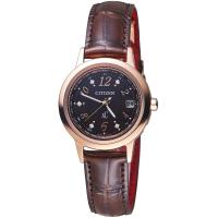 CITIZEN 星辰 xC系列 復古優雅限量電波錶 EC1147-01X