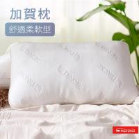 R.Q.POLO My Angel Pillow 加賀枕 3D立體 防螨抗菌 枕芯枕頭 (1入)