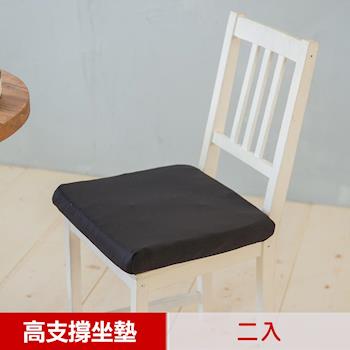 【凱蕾絲帝】台灣製造 久坐專用二合一高支撐記憶聚合紓壓坐墊-2入(2色可選)