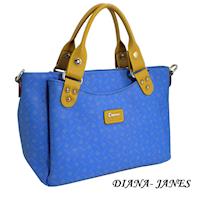 【Diana Janes 黛安娜】 晶鑽 LOGO雙用手提包