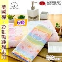 美國棉彩虹熊毛巾 (6條裝) 【台灣興隆毛巾製】親膚性佳