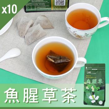【Mr.Teago】魚腥草茶/養生茶/養生飲-3角立體茶包-10袋/組(30包/袋)