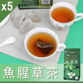 【Mr.Teago】魚腥草茶/養生茶/養生飲-3角立體茶包-5袋/組(30包/袋)