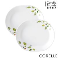 CORELLE康寧 綠野微風2件式腰子盤組(B03)