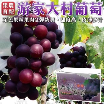 果農直配-大村紫黑玉巨峰葡萄(4串_約4斤/箱)
