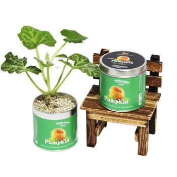 Light+Bio Cultivation Table栽培罐-玩具南瓜