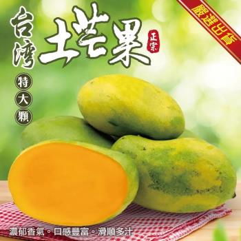 果物樂園-台灣大顆土芒果(約8斤/箱)