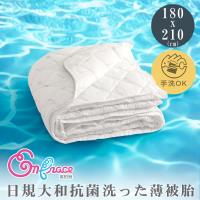 《Embrace英柏絲》 6x7尺夏季薄被胎/涼被 除臭防蹣抗菌