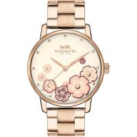 COACH Delancey 山茶花戲情 時尚腕錶(香檳金/36mm) 14503007