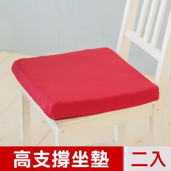 凱蕾絲帝-台灣製造-久坐專用二合一高支撐記憶聚合紓壓坐墊-棗紅(二入)