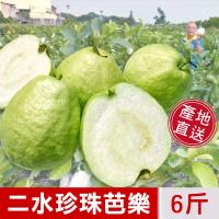 阿旺芭樂-二水產地現採直銷-濁水溪珍珠芭樂-送禮自吃首選水果禮盒6台斤(一箱)