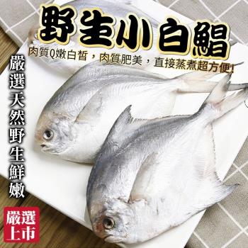 (買4送4)海肉管家-天然嚴選野生小白鯧 共8包(每包3-5尾/約300g±10%)