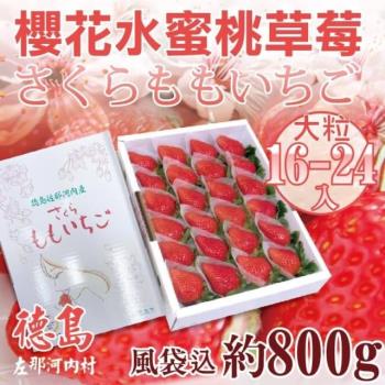 果物樂園-日本德島櫻花水蜜桃草莓(16~24入_約800g/盒)