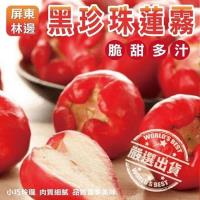果物樂園-頂級林邊黑珍珠蓮霧禮盒(11~13顆入/約2kg±10%)