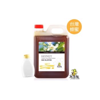 【尋蜜趣】 南部經典蜂蜜-高山野淬蜜3公斤(贈分裝空瓶X1)