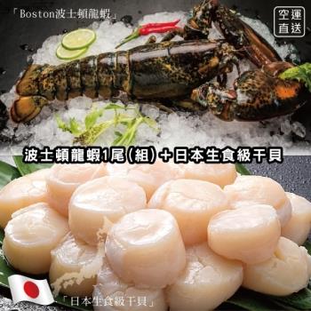 海肉管家-加拿大波士頓螯龍蝦(400~500g/隻)【送日本生食級干貝】