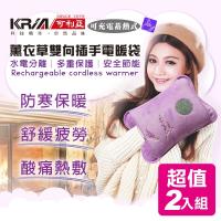 KRIA可利亞 蓄熱式雙向插手電暖袋/熱敷袋/電暖器 ZW-100TY(超值2入組)