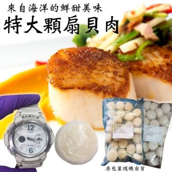 海肉管家-新鮮海味圓扇貝肉原裝1包(26-30入_約1000g/包)