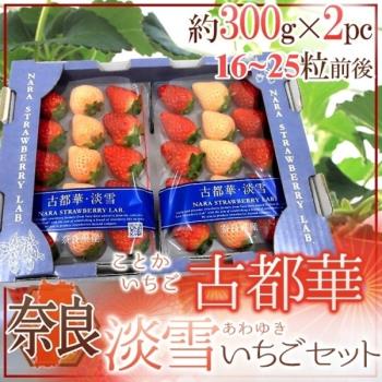 果物樂園-日本奈良縣雙色草莓(2P_約600g/盒)