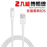 iPhone Lightning 新版USB傳輸線(2入)