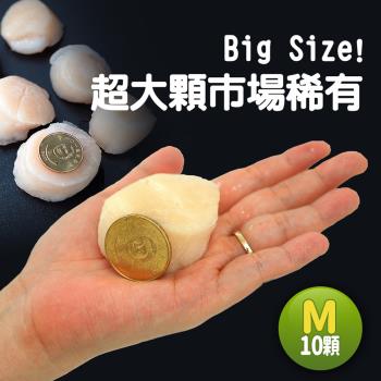 築地一番鮮-北海道生食級刺身用大顆M干貝10顆(380G/包)