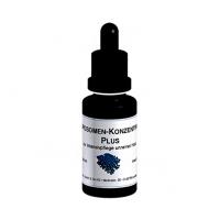 【DMS德妍思】微脂囊杜鵑花精華液 (20ml)