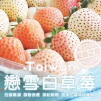 築地一番鮮-台灣獨特-戀雪三色白草莓2箱(500G/箱)