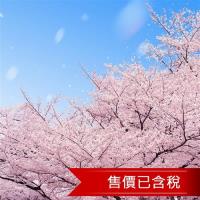 北海道櫻花留壽都纜車夜景小樽咖啡三溫泉5日(含稅)旅遊