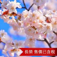 北海道五稜郭登別櫻花隧道紫藤白色戀人溫泉5日(含稅)旅遊